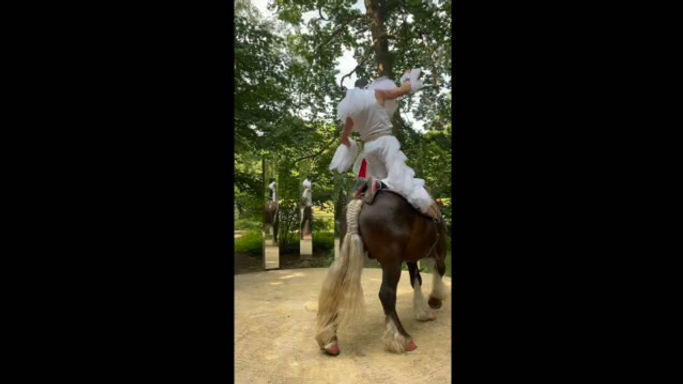 "Pulcinella" - SD 480p